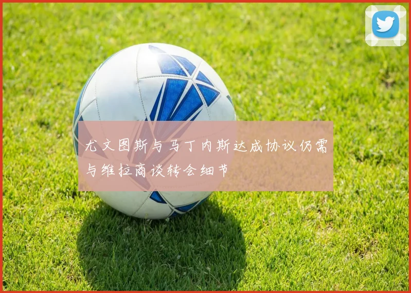 尤文图斯与马丁内斯达成协议仍需与维拉商谈转会细节
