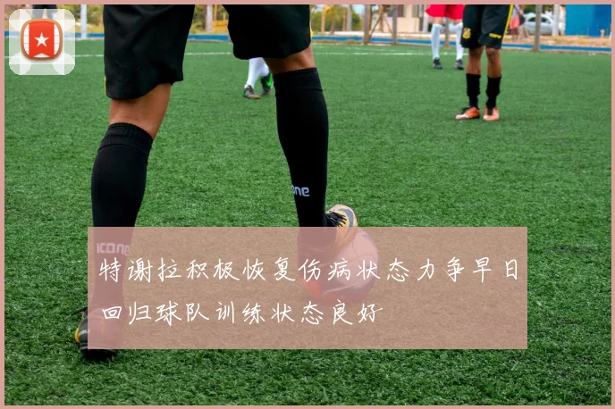 特谢拉积极恢复伤病状态力争早日回归球队训练状态良好